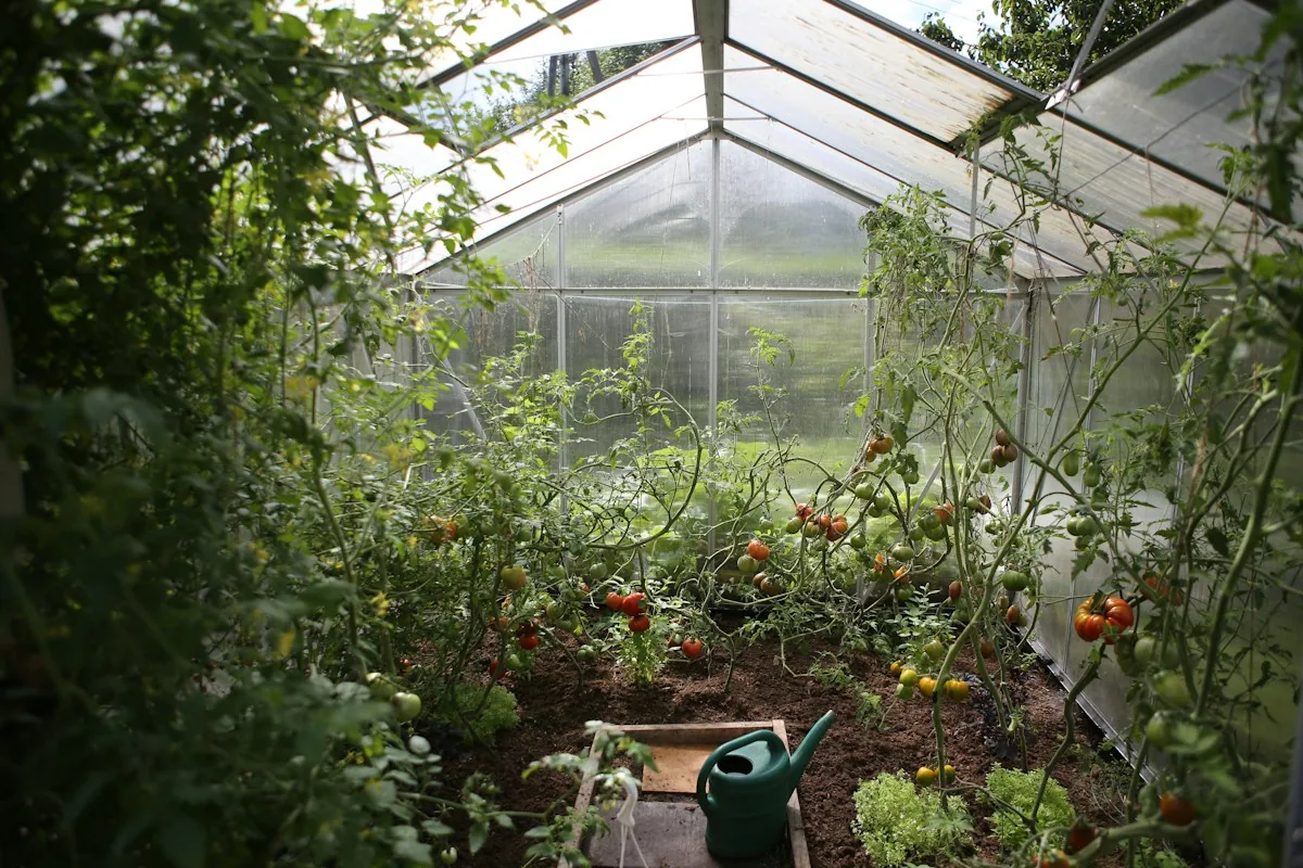 Mastro Giardiniere Favero al lavoro