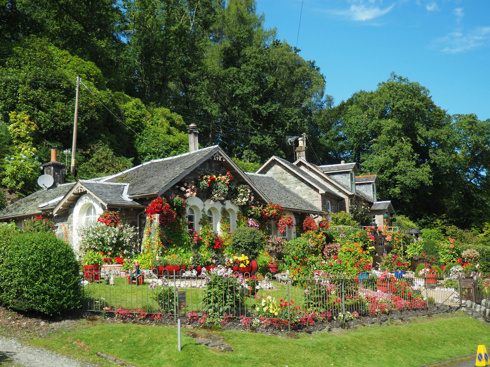 Realizzazione giardini contemporanei